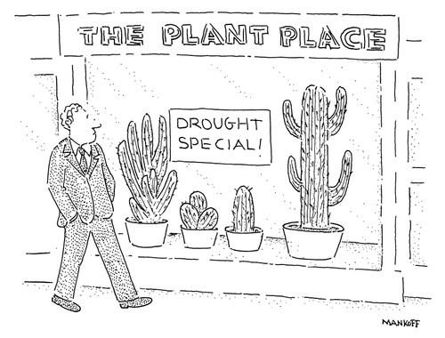 The Plant Place - Drought special!