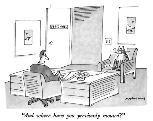 "And where have you previously moused?"
