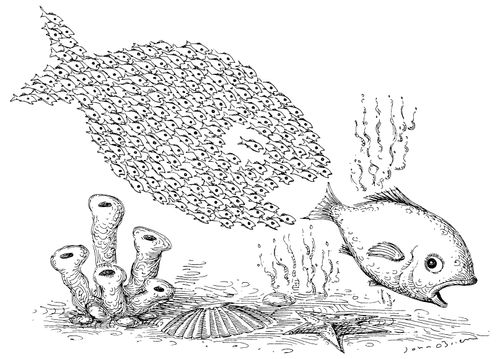 School of little fish scares big fish