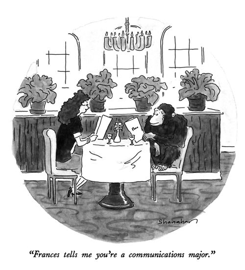 "Frances tells me you're a communications major."