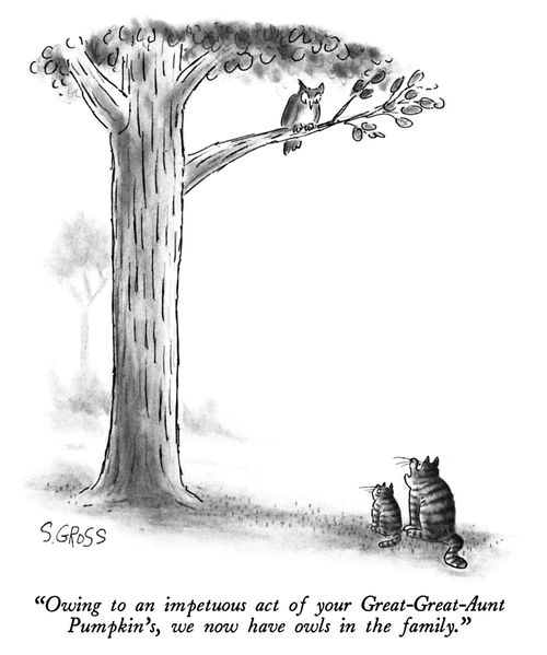 "Owing to an impetuous act of your Great-Great-Aunt Pumpkin's, we now have owls in the family."