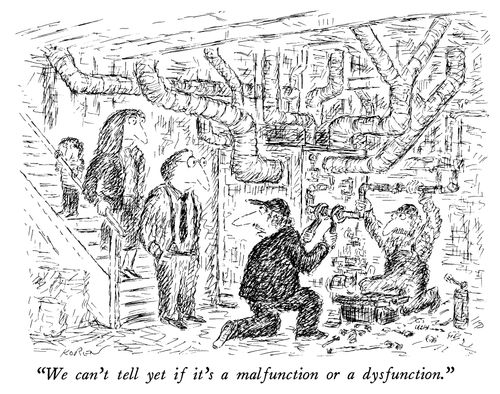 "We can't tell yet if it's a malfunction or a dysfunction."