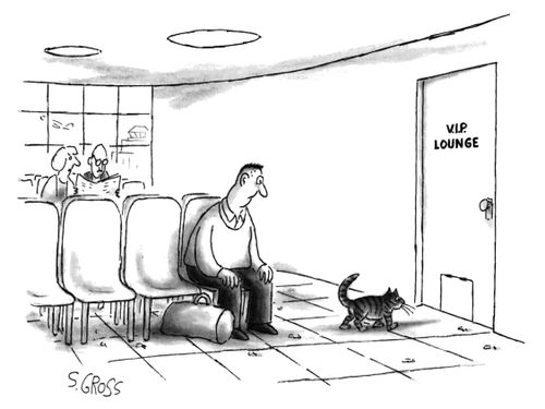 Man watches a cat enter a pet door to a "V.I.P. Lounge" in an airport
