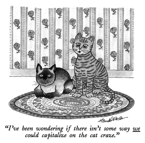 "I've been wondering if there isn't some way we could capitalize on the cat craze."