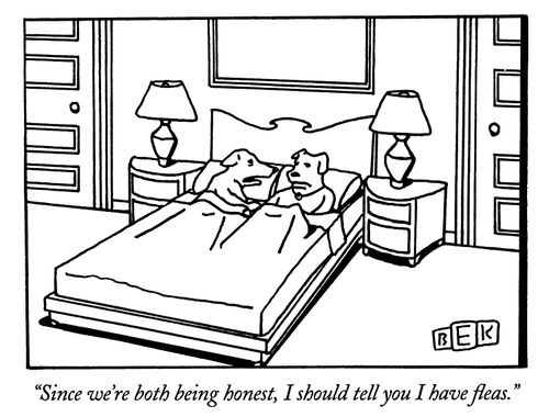 "Since we're both being honest, I should tell you I have fleas."