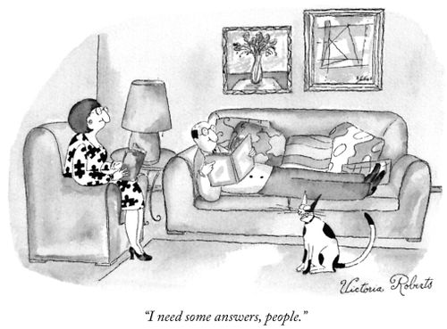 "I need some answers, people."