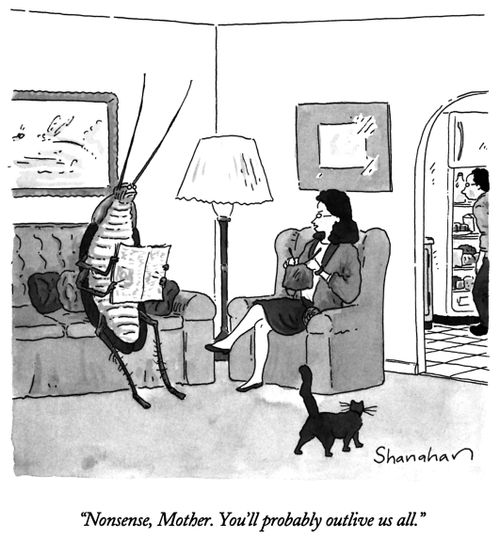 "Nonsense, Mother. You'll probably outlive us all."