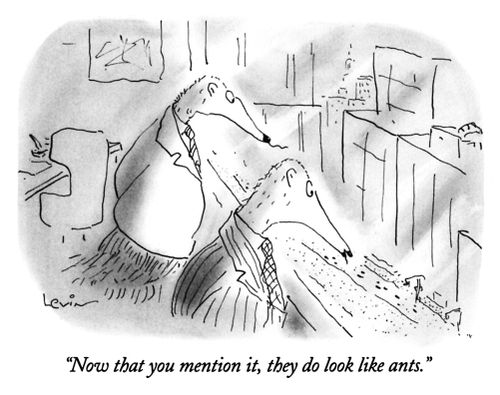 "Now that you mention it, they do look like ants."