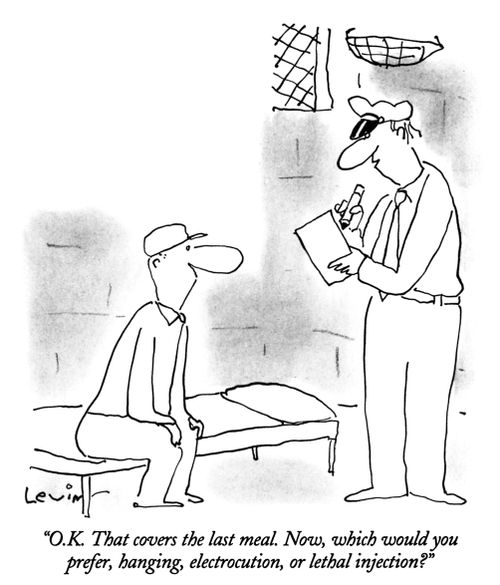 "O.K. That covers the last meal. Now, which would you prefer, hanging, electrocution, or lethal injection?"