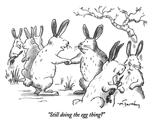 "Still doing the egg thing?"