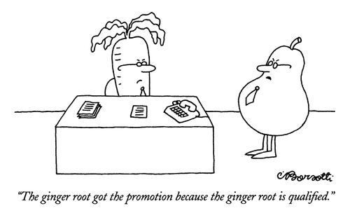 "The ginger root got the promotion because the ginger root is qualified."