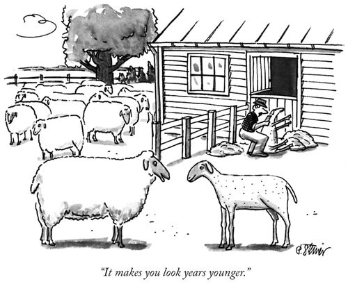 "It makes you look years younger."