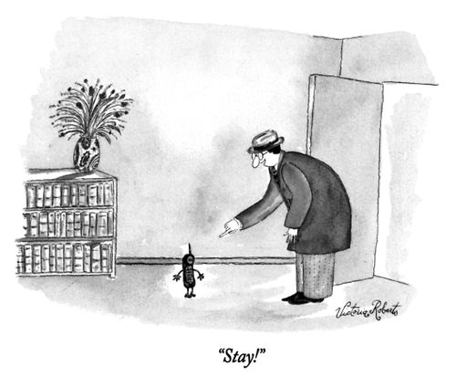 "Stay!"