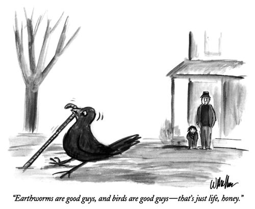 "Earthworms are good guys, and birds are good guys—that's just life, honey."