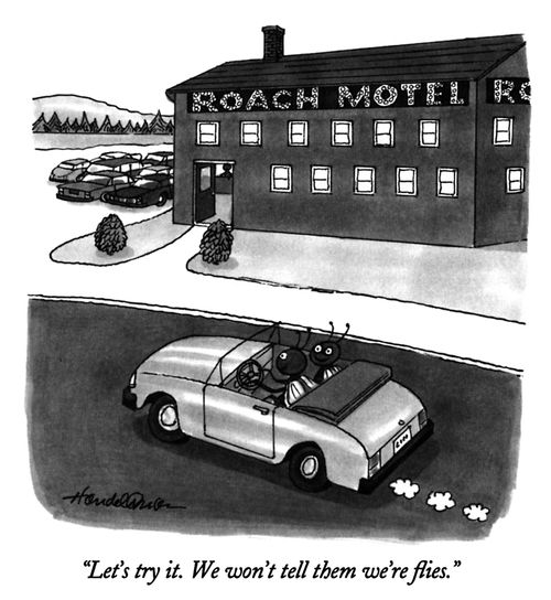 "Let's try it. We won't tell them we're flies."