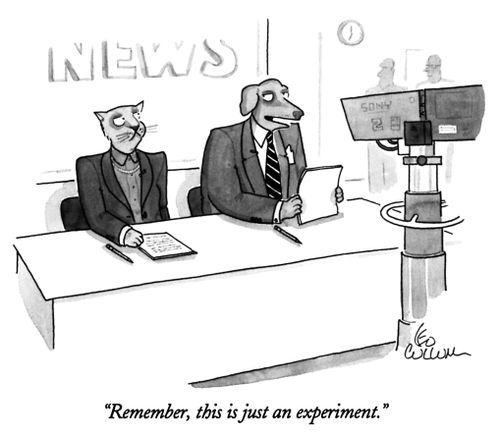 "Remember, this is just an experiment."