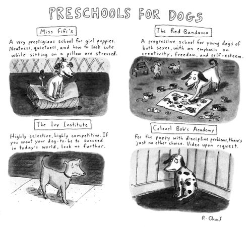 Preschools for Dogs