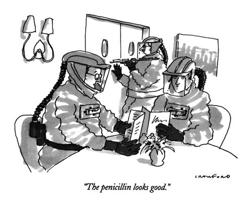 "The penicillin looks good."