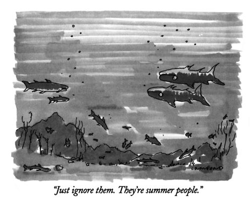 "Just ignore them. They're summer people."
