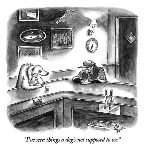 "I've seen things a dog's not supposed to see."