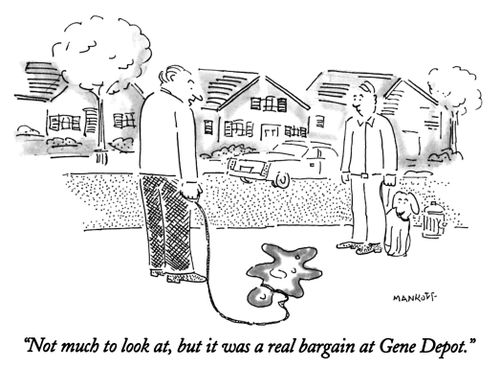 "Not much to look at, but it was a real bargain at the Gene Depot."