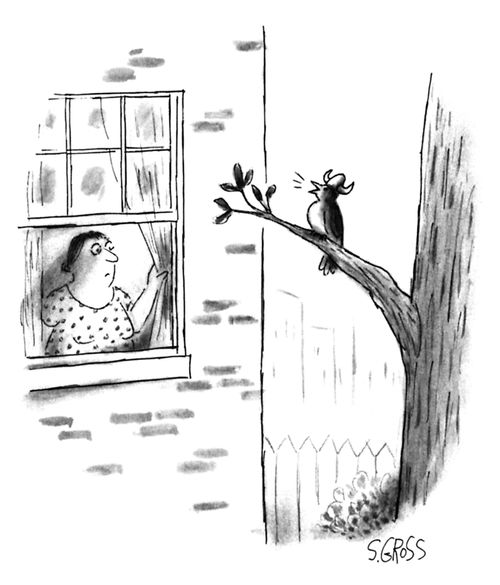 A bird in a viking opera hat sings outside a woman's window.