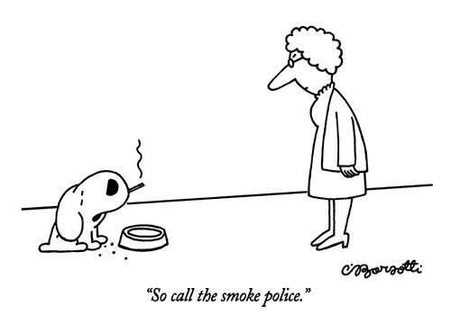 "So call the smoke police."
