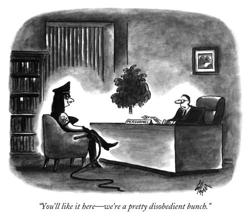 "You'll like it here—we're a pretty disobedient bunch."