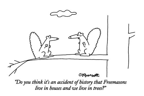 "Do you think it's an accident of history that Freemasons live in houses and we live in trees?"