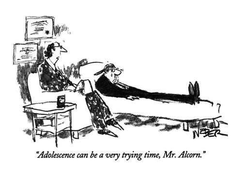 "Adolescence can be a very trying time, Mr. Alcorn."