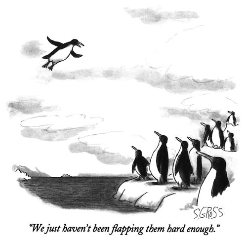 "We just haven't been flapping them hard enough."