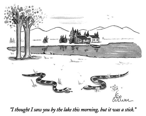 "I thought I saw you by the lake this morning, but it was a stick."