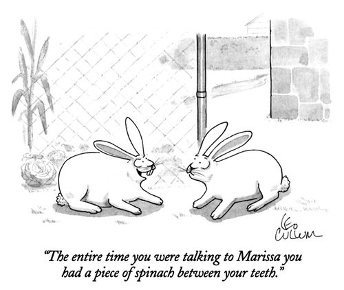 "The entire time you were talking to Marissa you had a piece of spinach between your teeth."