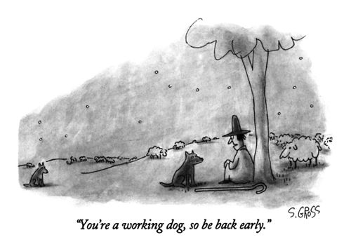"You're a working dog, so be back early."