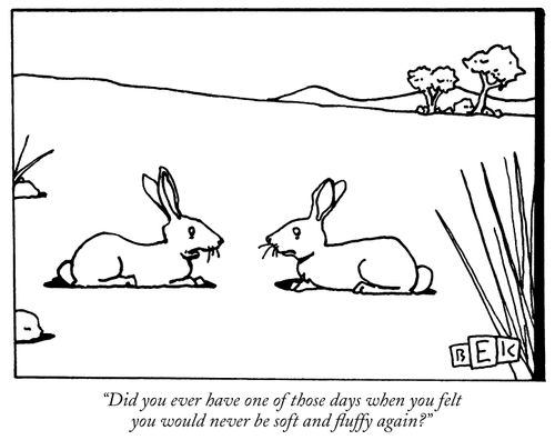 "Did you ever have one of those days when you felt you would never be soft and fluffy again?"