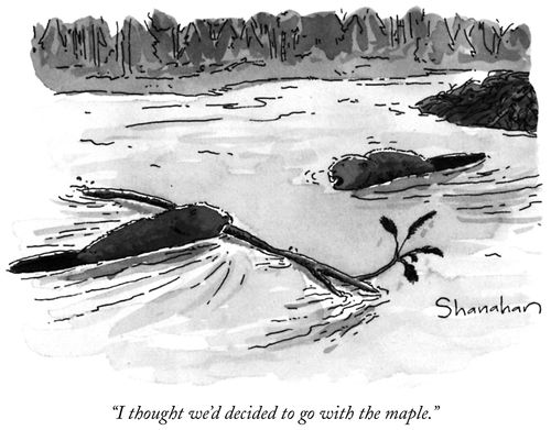 "I thought we'd decided to go with the maple."