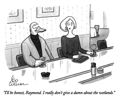 "I'll be honest, Raymond. I really don't give a damn about the wetlands."