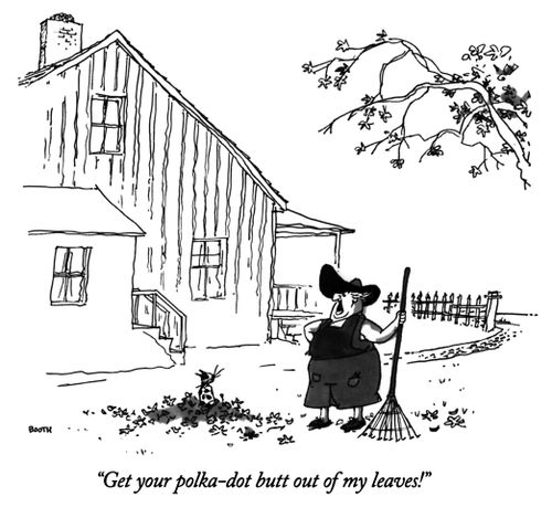 "Get your polka-dot butt out of my leaves!"