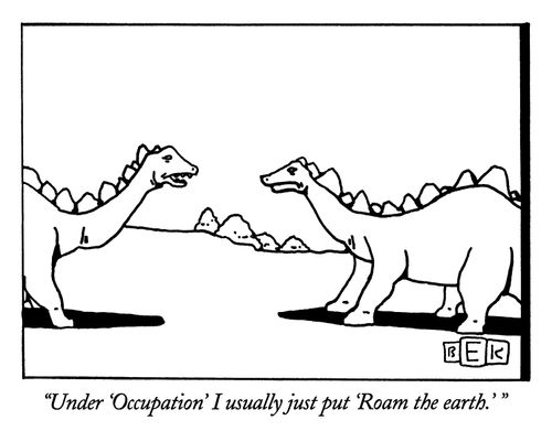 "Under 'Occupation' I usually just put 'Roam the earth.' "