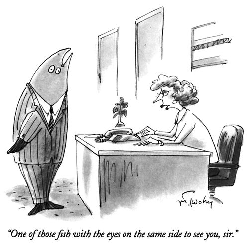 "One of those fish with the eyes on the same side to see you, sir."