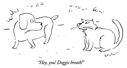 "Hey, you! Doggie breath!" Cat says to dog.