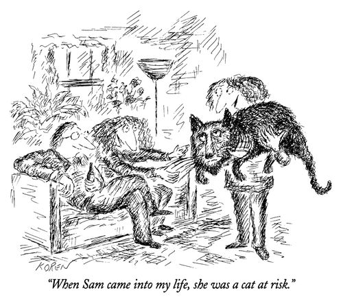 "When Sam came into my life, she was a cat at risk."