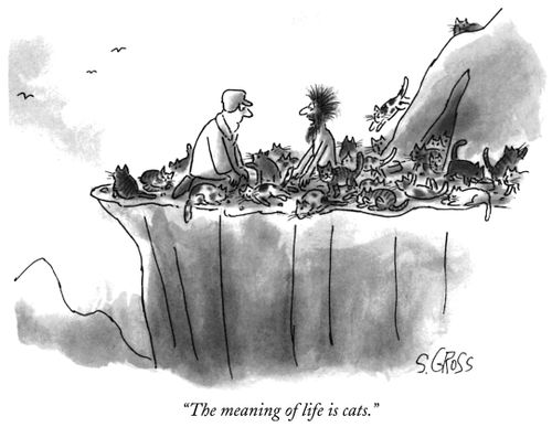 "The meaning of life is cats."