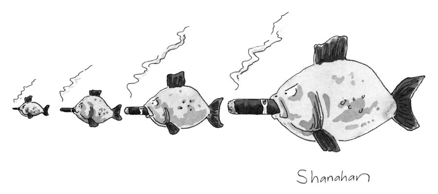 Fish of various sizes, arranged in ascending order, smoke cigars.