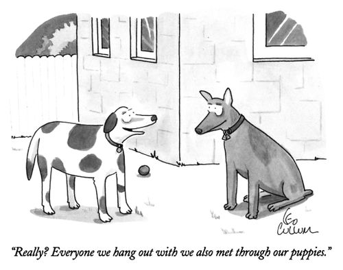 "Really? Everyone we hang out with we also met through our puppies."