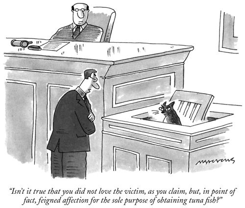 "Isn't it true that you did not love the victim, as you claim, but, in point of fact, feigned affection for the sole purpose of obtaining tuna fish?"