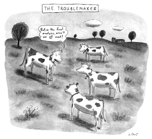 The Troublemaker