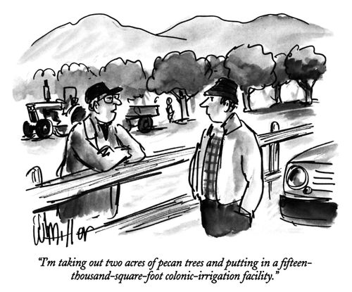 "I'm taking out two acres of pecan trees and putting in a fifteen-thousand-square-foot colonic-irrigation facility."