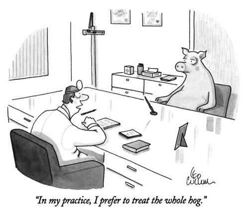 "In my practice, I prefer to treat the whole hog."