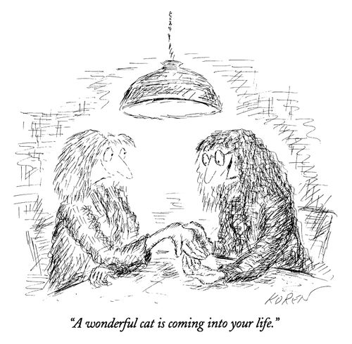 "A wonderful cat is coming into your life."